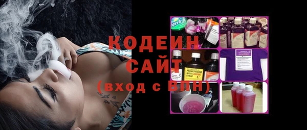 метадон Богданович