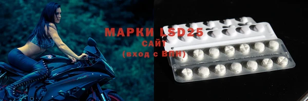 метадон Богданович