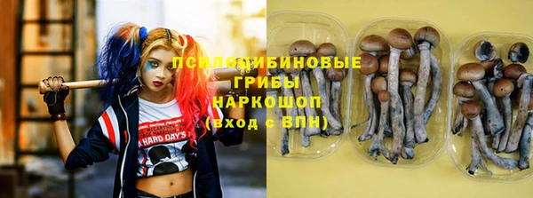 метадон Богданович