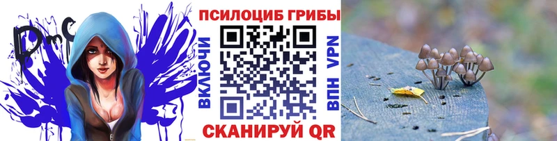 Псилоцибиновые грибы прущие грибы Среднеуральск