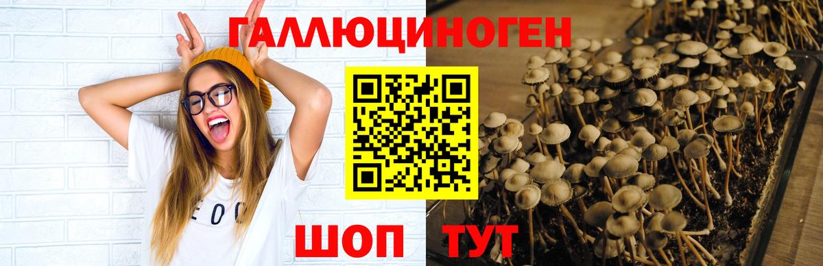 Галлюциногенные грибы ЛСД  Псилоцибиновые грибы ЛСД  Вход с VPN  Среднеуральск 
